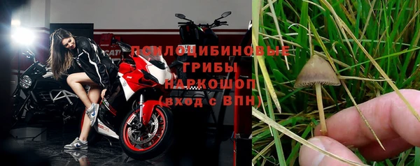 a pvp Россошь