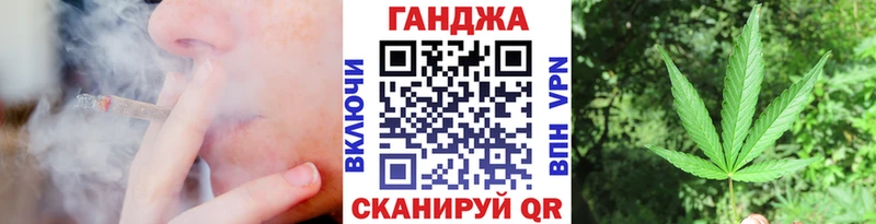 Конопля конопля  Суджа 